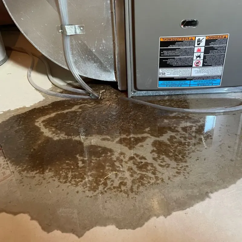 Pipe Burst and Leak Restoration in Dartmouth, MA
